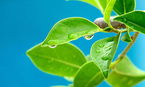 自媒体创业,掌握时代脉搏,成就梦想事业 自媒体创业,掌握时代脉搏,成就梦想事业